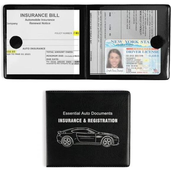 Auto Essential Registration and Insurance Holder 2-Pack Interior Accessories - Picture 1 of 7